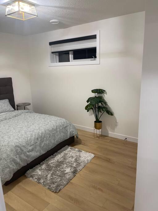 Stylish 2 Bedroom Suite In Sw Edmonton Close To Windermere And Edmonton International Airport Eksteriør billede